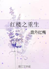 红楼之重生为贾瑞 忙忙碌碌