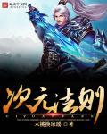 次元法典顶点