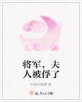 将军夫人被欺负