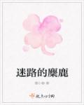 迷路的小麋鹿sy