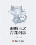 海贼之青莲空间txt