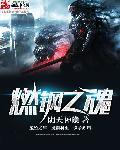燃钢之魂完整版