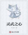 灵武是哪的