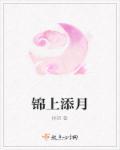 锦上添彩意思