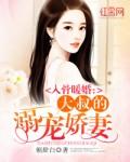 大叔暖婚推荐