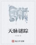 天脉系统