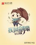 海贼之疾风剑豪ai有声
