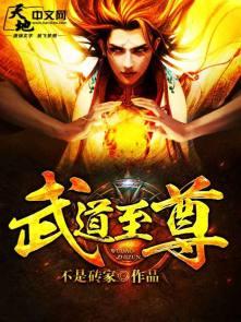武道至尊主角介绍