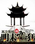 明末风暴 顶点