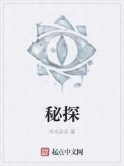 美国密探