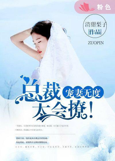 宠妻无度总裁老公太生猛免费阅读