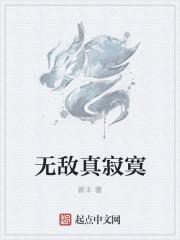 无敌真寂寞txt百度