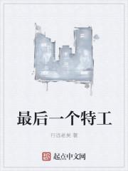 最后一个特务电视剧 剧情