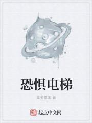 恐惧电梯第二章消失的路人