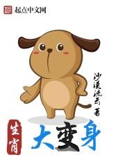 生肖变化谜底解析
