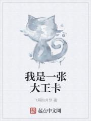大王卡什么意思?