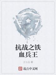 抗战之铁血兵王八零