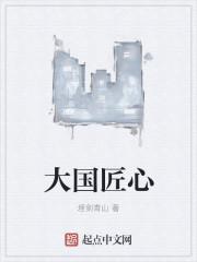 大国匠心颁奖词