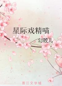 星际喵猫粮怎么样