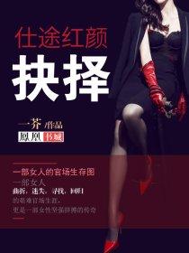 仕途红颜记