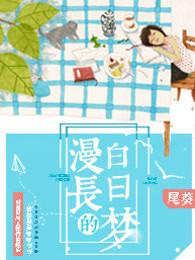漫长的白日梦歌词