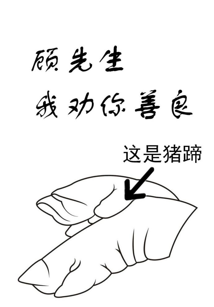 顾先生我劝你善良晋江