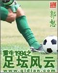 重生1994之足坛风云ⅱ笔趣阁