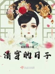 清穿的日子评论