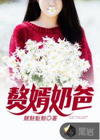 赘婿奶爸崛起