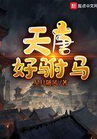 唐朝好驸马