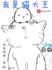 我是猫大王123