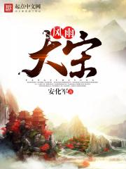 风雨大宋无弹窗