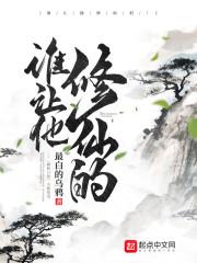 九霄至尊赵平安免费