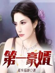 看第一豪婿