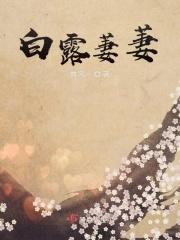 蒹葭萋萋白露未晞的意思