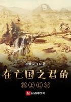 大明我是五好太子sodu
