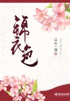 锦衣色有声
