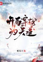 开局穿越为天道的