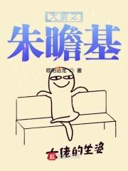 大明朱瞻基全集完整版
