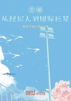 从经纪人到娱乐圈