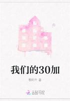 电视剧我们的30年