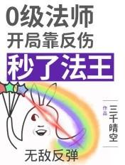 法师适合出反甲吗