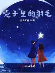 壳子里的羽毛叫什么