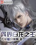 异界白龙之主TX