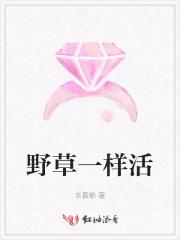 像野草一样活着阅读理解