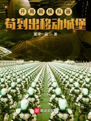 我开局模仿