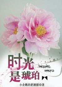 时光是琥珀暗示分手吗