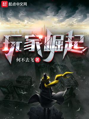 你是个玩家是什么意思