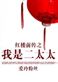 穿越红楼之我是二太太