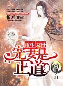 重生之末世宠妻是正道书包网